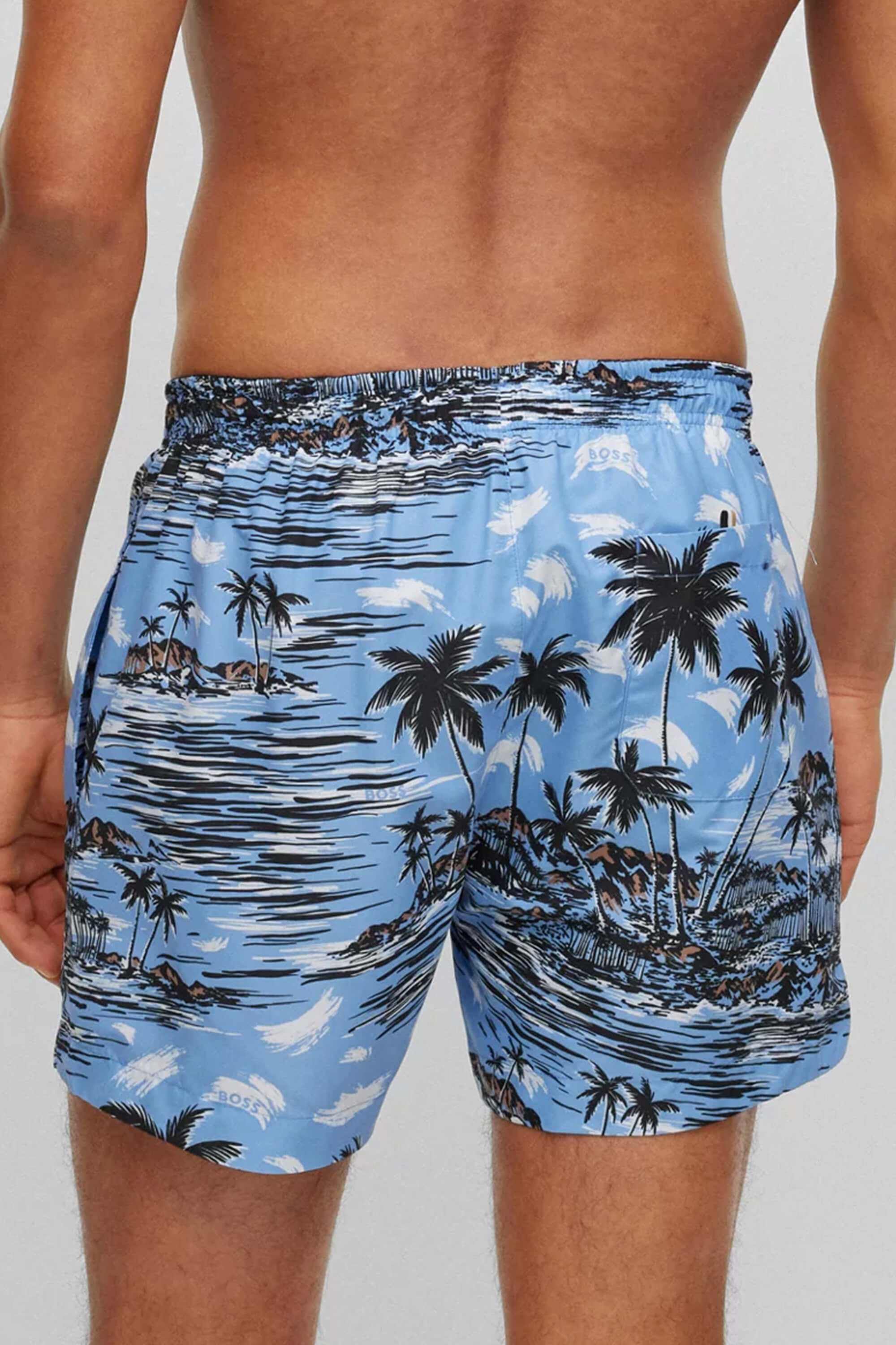 Hugo Boss Springfish Swim Shorts