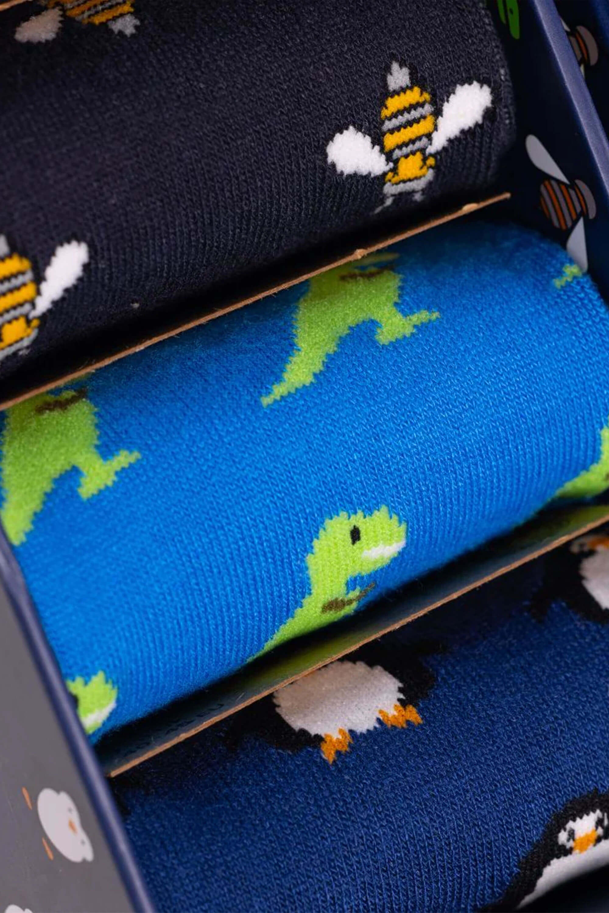 Swole Panda Socks Gift Box